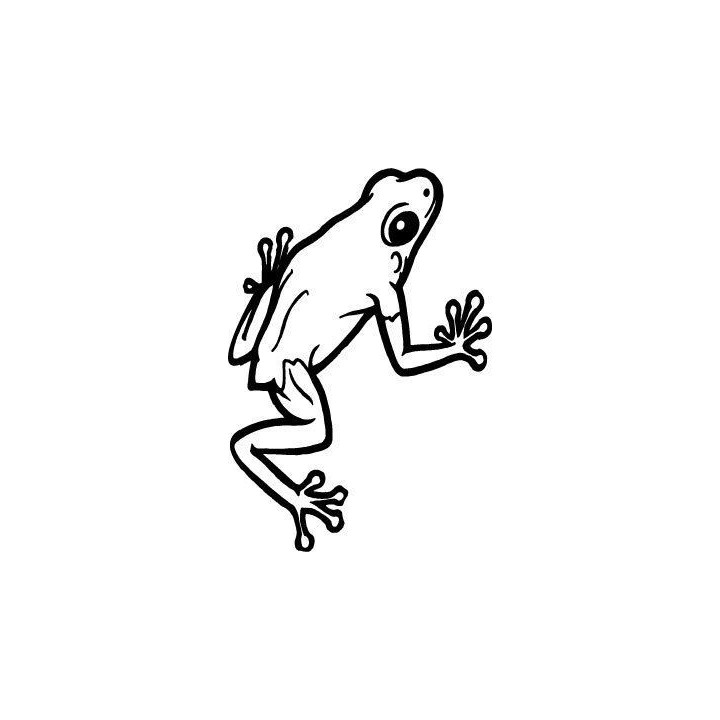 Frog Vinyl Decal Sticker V85 - DecalsHouse