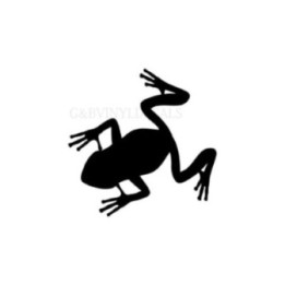 Frog Vinyl Decal Sticker V91 - DecalsHouse