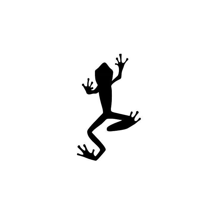 Frog Vinyl Decal Sticker V95 - DecalsHouse