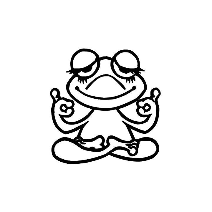 Frog Vinyl Decal Sticker V97 - DecalsHouse