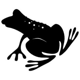 Frog Vinyl Decal Sticker V98 - DecalsHouse