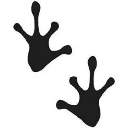 Frog Vinyl Decal Sticker V99 - DecalsHouse