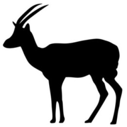 Gazelle Vinyl Decal Sticker V13 - DecalsHouse