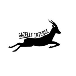 Gazelle Vinyl Decal Sticker V17 - DecalsHouse