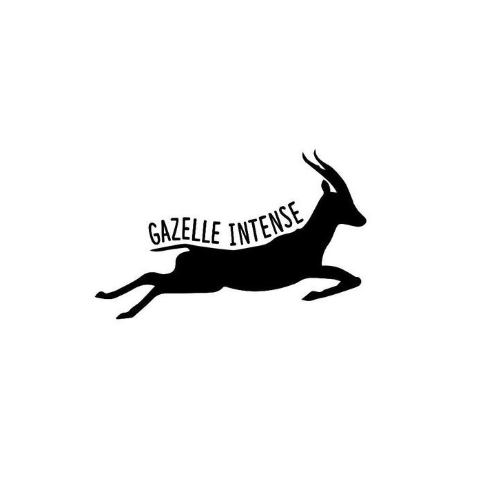 Gazelle Vinyl Decal Sticker V17 - DecalsHouse