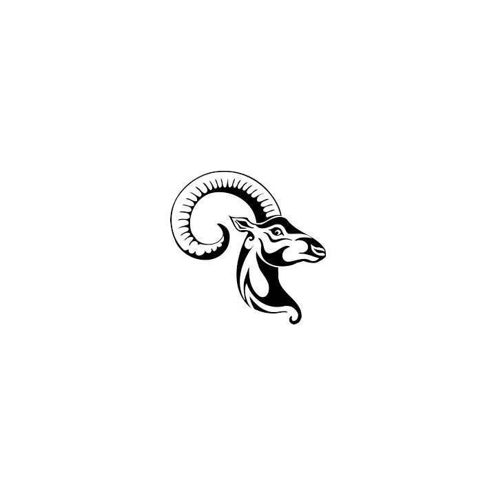 Gazelle Vinyl Decal Sticker V19 - DecalsHouse