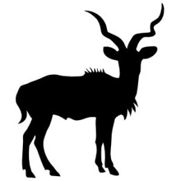 Gazelle Vinyl Decal Sticker V27 - DecalsHouse