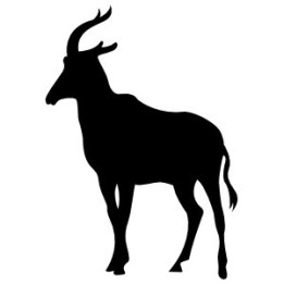 Gazelle Vinyl Decal Sticker V30 - DecalsHouse