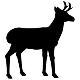Gazelle Vinyl Decal Sticker V31 - DecalsHouse