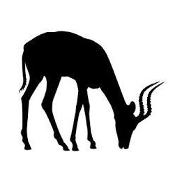 Gazelle Vinyl Decal Sticker V32 - DecalsHouse