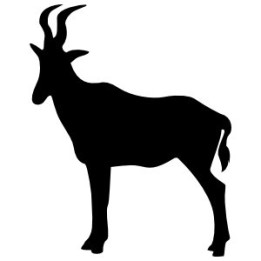 Gazelle Vinyl Decal Sticker V35 - DecalsHouse