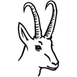 Gazelle Vinyl Decal Sticker V9 - DecalsHouse