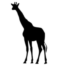 Giraffe Vinyl Decal Sticker V16 - DecalsHouse