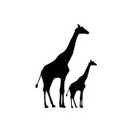 Giraffe Vinyl Decal Sticker V17 - DecalsHouse