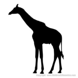 Giraffe Vinyl Decal Sticker V18 - DecalsHouse