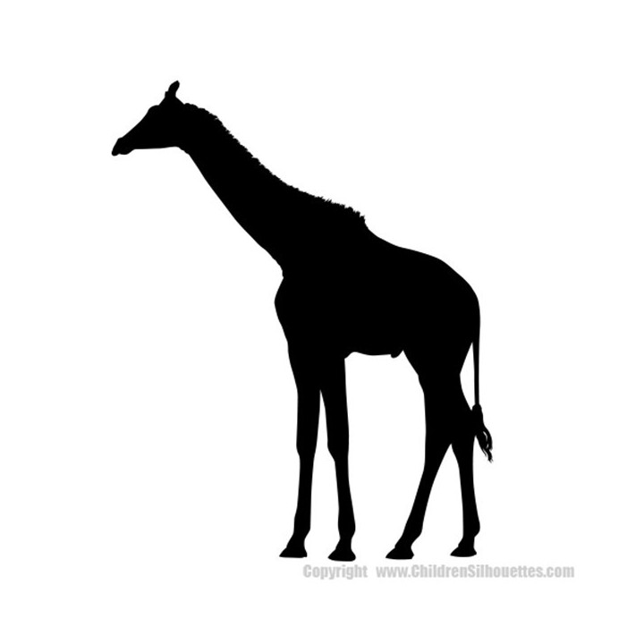 Giraffe Vinyl Decal Sticker V18 - DecalsHouse