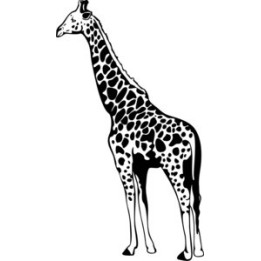 Giraffe Vinyl Decal Sticker V2 - DecalsHouse