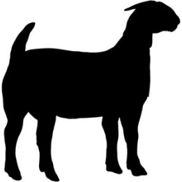 Goat Silhouette Stickers – Billy Goat Decals (2-Pack)
