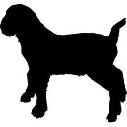 Goat Silhouette Stickers – Farm Animal Decals (2-Pack)