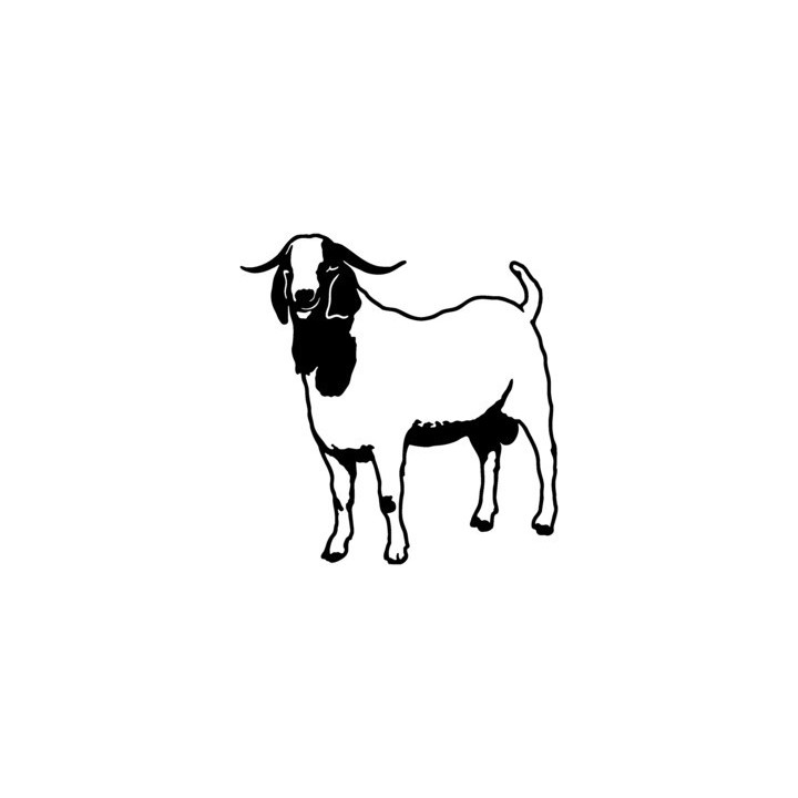 Goat Stickers – Boer Goat Farm Animal Decals (2-Pack)