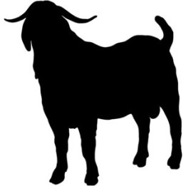 Goat Silhouette Stickers – Farm Animal Decals (2-Pack)