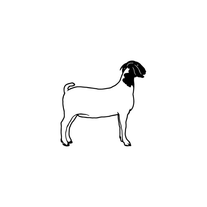 Boer Goat Stickers – Farm Animal Decals (2-Pack)