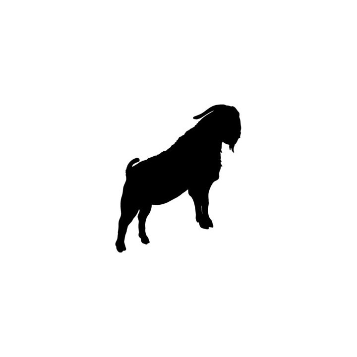 Goat Silhouette Stickers – Billy Goat Decals (2-Pack)