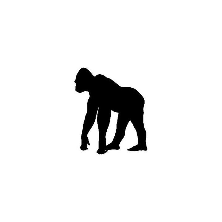 Gorilla Vinyl Decal Sticker V10 - DecalsHouse