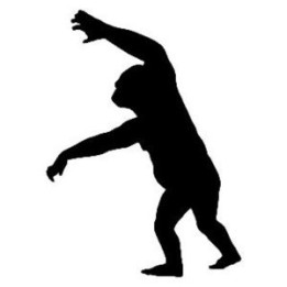Gorilla Vinyl Decal Sticker V11 - DecalsHouse