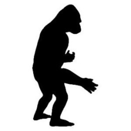 Gorilla Vinyl Decal Sticker V15 - DecalsHouse