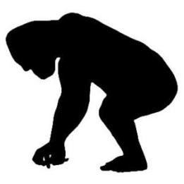 Gorilla Vinyl Decal Sticker V2 - DecalsHouse