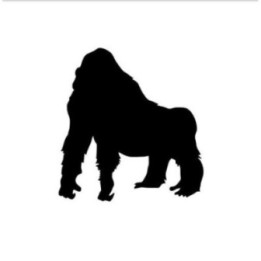 Gorilla Vinyl Decal Sticker V20 - DecalsHouse