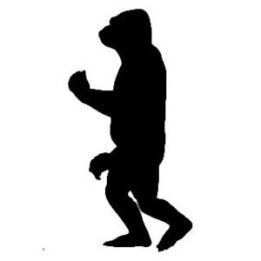 Gorilla Vinyl Decal Sticker V3 - DecalsHouse