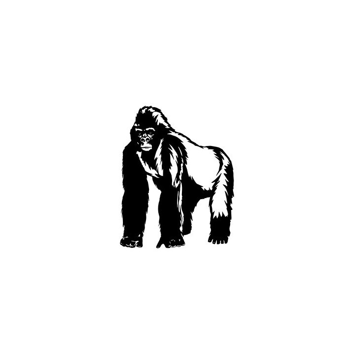 Gorilla Vinyl Decal Sticker V40 - DecalsHouse