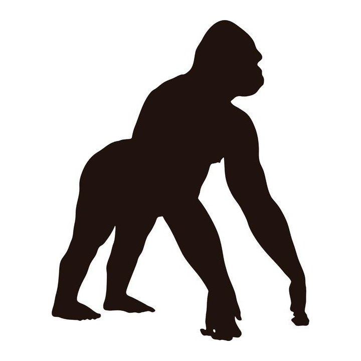 Gorilla Vinyl Decal Sticker V47 - DecalsHouse