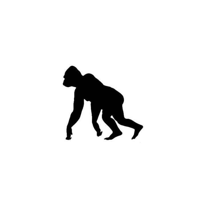 Gorilla Vinyl Decal Sticker V5 - DecalsHouse