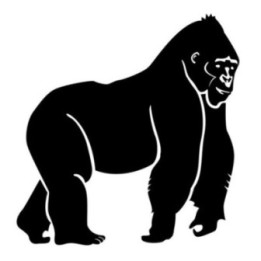 Gorilla Vinyl Decal Sticker V51 - DecalsHouse