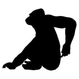 Gorilla Vinyl Decal Sticker V6 - DecalsHouse