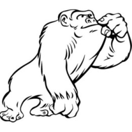 Gorilla Vinyl Decal Sticker V67 - DecalsHouse
