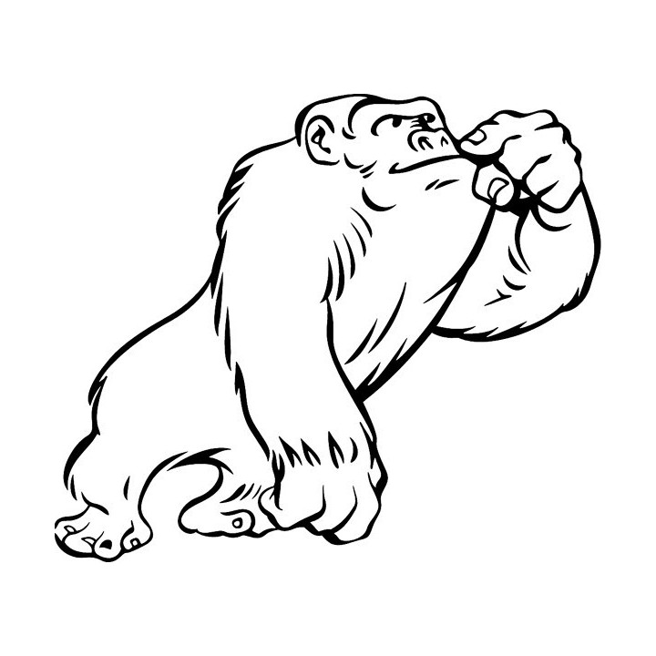 Gorilla Vinyl Decal Sticker V67 - DecalsHouse