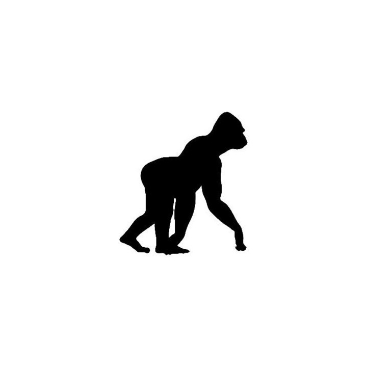 Gorilla Vinyl Decal Sticker V7 - DecalsHouse