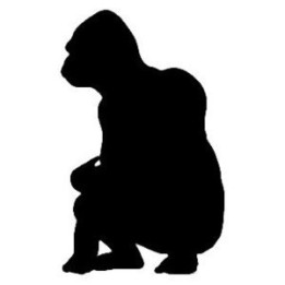 Gorilla Vinyl Decal Sticker V9 - DecalsHouse