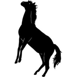 Horse Vinyl Decal Sticker V10 - DecalsHouse