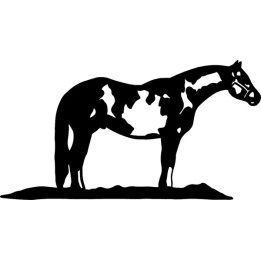 Horse Vinyl Decal Sticker V100 - DecalsHouse