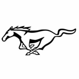 Horse Vinyl Decal Sticker V107 - DecalsHouse