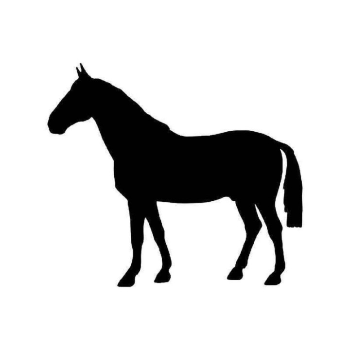 Horse Vinyl Decal Sticker V108 - DecalsHouse