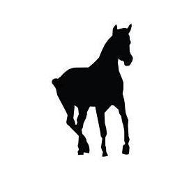 Horse Vinyl Decal Sticker V109 - DecalsHouse