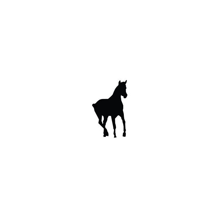 Horse Vinyl Decal Sticker V109 - DecalsHouse
