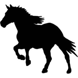 Horse Vinyl Decal Sticker V11 - DecalsHouse