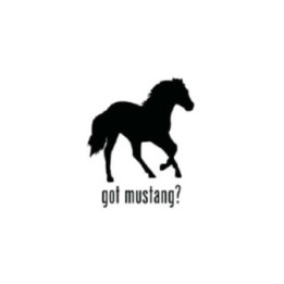 Horse Vinyl Decal Sticker V112 - DecalsHouse